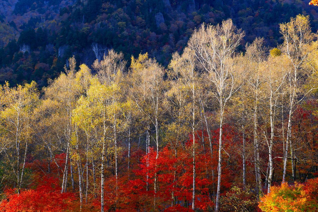 Nakao Kogen Hotel Kazaguruma Takayama  Bagian luar foto