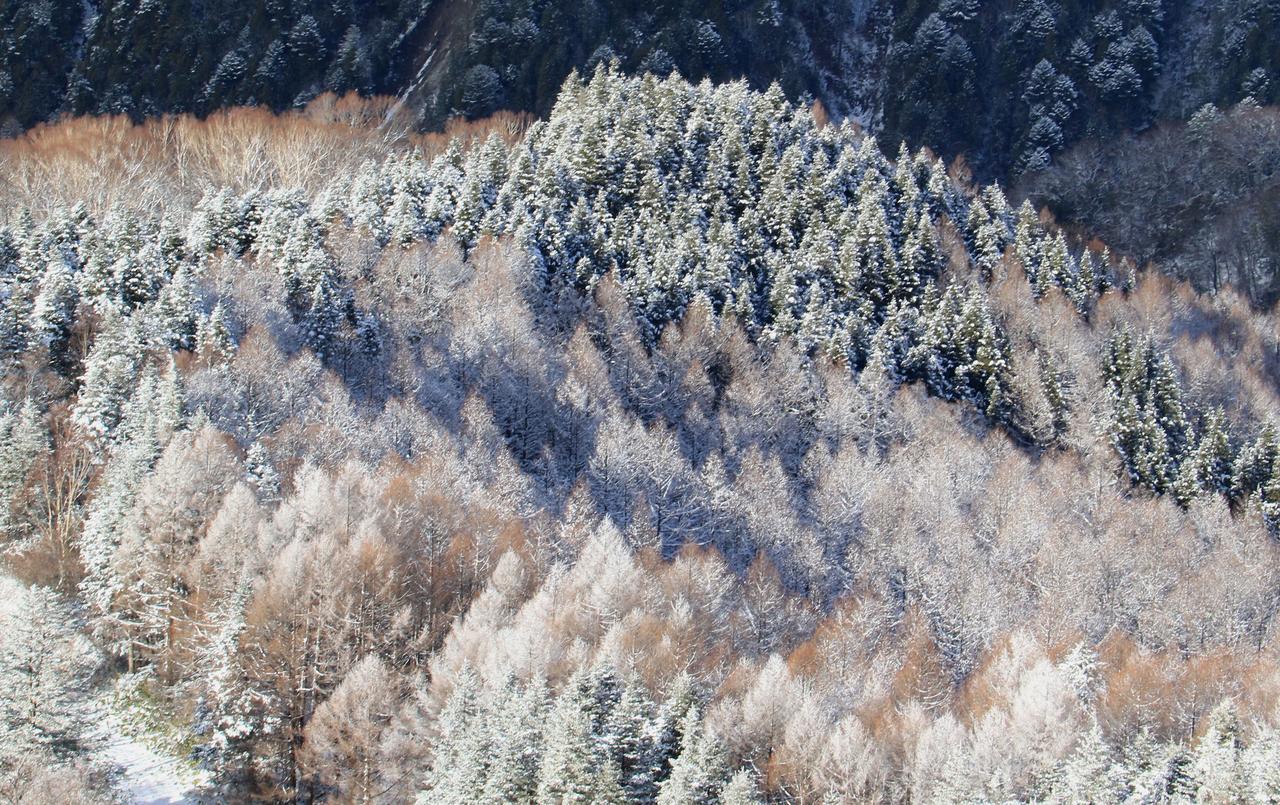 Nakao Kogen Hotel Kazaguruma Takayama  Bagian luar foto